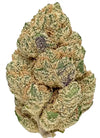 Sticky Buns | Feminized | Cannabis Seeds