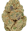 Sticky Buns | Feminized | Cannabis Seeds