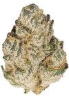 Amsterdam Mix Cannabis Seeds | Dutch Classics Collection  | Cannabis Seeds