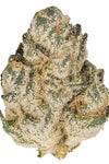 Amsterdam Mix Cannabis Seeds | Dutch Classics Collection  | Cannabis Seeds