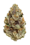 Blue Zushi | Feminized  | Cannabis Seeds