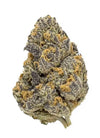 RS11  | Feminized | Cannabis Seeds