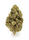 Cinderella 99 | Feminized | Cannabis Seeds