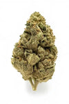 Cinderella 99 | Feminized | Cannabis Seeds