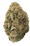 Silver Haze | Autoflower | Cannabis Seeds