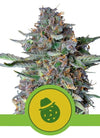 Do-si-dos | Autoflower Feminised | Cannabis Seeds
