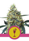 Mimosa | Feminized | Cannabis Seeds