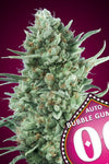 Bubblegum XXL | Autoflower Feminised | Cannabis Seeds
