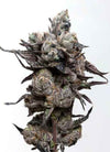 Runtz S1 | Feminized | Cannabis Seeds