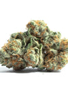 Super Glue  | Feminized | Cannabis Seeds