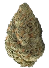 Platinum OG  | Feminized | Cannabis Seeds
