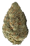 Platinum OG  | Feminized | Cannabis Seeds
