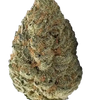 Platinum OG  | Feminized | Cannabis Seeds