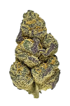 Gold Leaf | Autoflower  | Cannabis Seeds