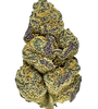Gold Leaf | Autoflower  | Cannabis Seeds