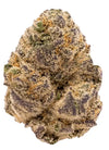 Blue Haze | Feminized  | Cannabis Seeds