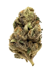 King Louis | Feminized | Cannabis Seeds