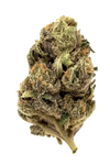 King Louis | Feminized | Cannabis Seeds