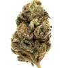 King Louis | Feminized | Cannabis Seeds