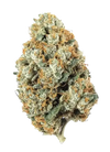NYC Diesel | Feminized | Cannabis Seeds