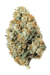NYC Diesel | Feminized | Cannabis Seeds