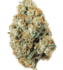 NYC Diesel | Feminized | Cannabis Seeds
