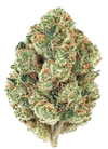 Fire OG | Feminized | Cannabis Seeds