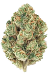Fire OG | Feminized | Cannabis Seeds