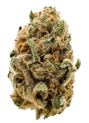 Blueberry | Feminized  | Cannabis Seeds