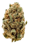 Blueberry | Feminized  | Cannabis Seeds