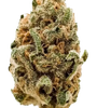Blueberry | Feminized  | Cannabis Seeds