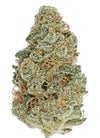 Mango Haze | Feminized  | Cannabis Seeds