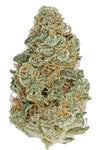Mango Haze | Feminized  | Cannabis Seeds