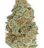 Mango Haze | Feminized  | Cannabis Seeds