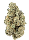 Harlequin | Feminized  | Cannabis Seeds