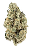 Harlequin | Feminized  | Cannabis Seeds