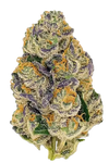 Gumbo | Feminized  | Cannabis Seeds