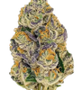 Gumbo | Feminized  | Cannabis Seeds