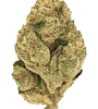 Sour Kush | Autoflower | Cannabis Seeds