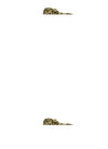 Cherry Popperz | Feminized | Cannabis Seeds
