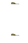 Cherry Popperz | Feminized | Cannabis Seeds