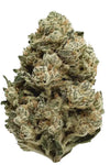 Horchata | Feminized | Cannabis Seeds