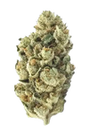 London Pound Cake | Feminized | Cannabis Seeds
