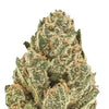 Feminized Hybrid Autoflower Cannabis Seeds