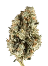 Cherry Pie | Feminized | Cannabis Seeds
