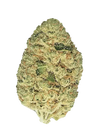 Grapefruit | Autoflower | Cannabis Seeds