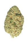 Grapefruit | Autoflower | Cannabis Seeds