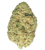 Grapefruit | Autoflower | Cannabis Seeds