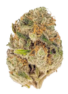 Cheetah Piss | Feminized | Cannabis Seeds