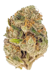 Cheetah Piss | Feminized | Cannabis Seeds